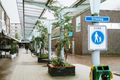 Winkelcentrum De Drieslag